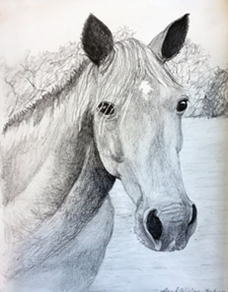 Horse Portrait