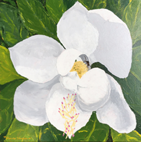 Sugar Magnolia